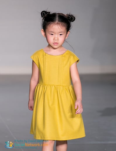 SEN 35 2016 Collection