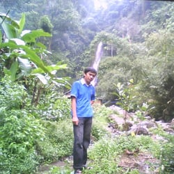 Picture of Faizalazis