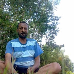 Picture of Galib