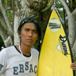 Picture of bomercoy
