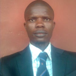 Picture of laja13331