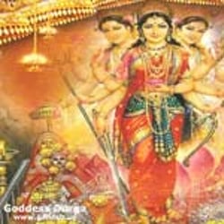 Picture of dineshheena