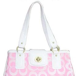 Picture of Girlfriends and Purses