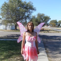 Picture of gemi1